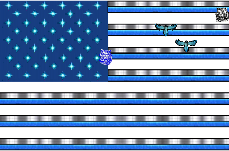 USA flag